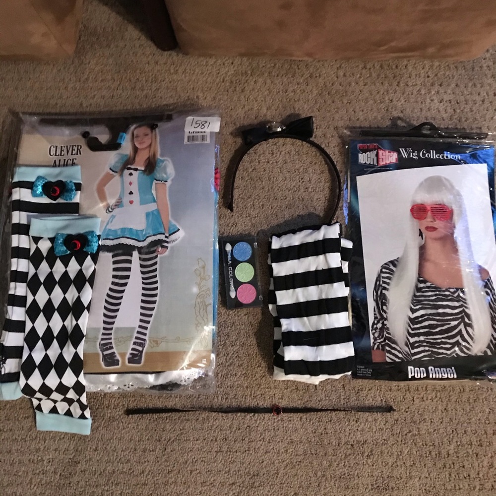 Alice in Wonderland Halloween Costume